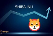 Buy and Trade Shiba Inu Top Platforms