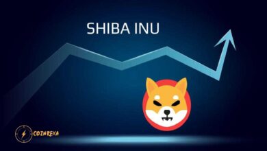 Buy and Trade Shiba Inu Top Platforms