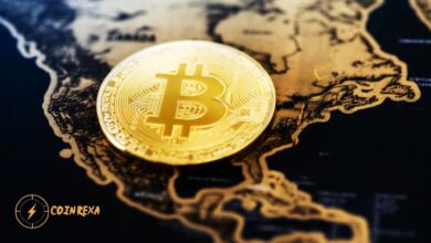 US Spot Bitcoin ETFs See Record Inflows Amid Price Crash (1)