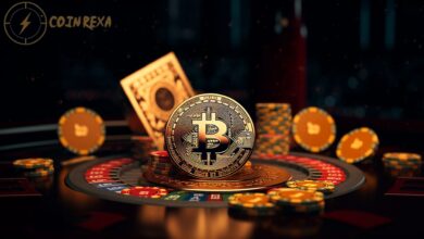 Blockchain Casinos With High-Stakes 2024: Guide!