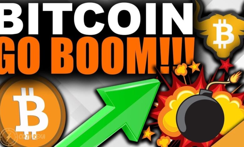 Bitcoin Boom or Blockchain Crash in August 2024?