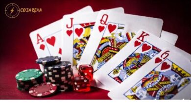 Understanding Online Casino Operations