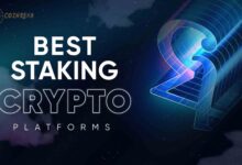 Crypto Investment Advice Earning More with Staking Bonus