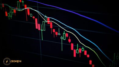 Crypto Market Decline What’s the Future?