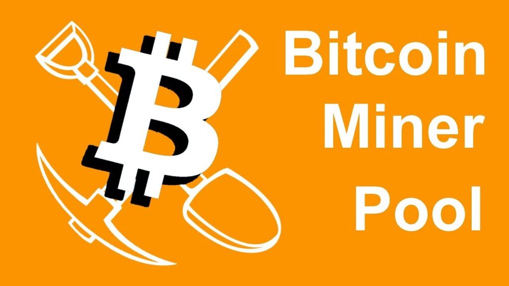 Bitcoin Miner Activity
