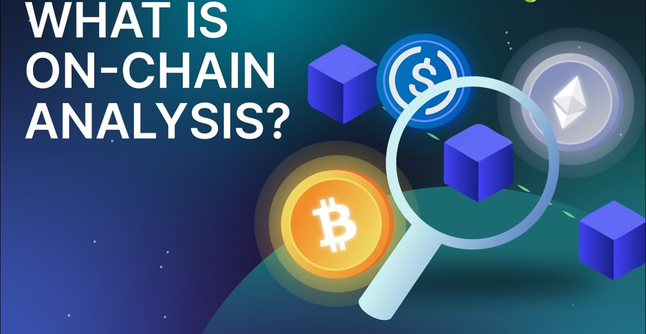 Onchain Analysis: Where Is the Real Support?