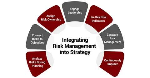 Institutional Influence and Risk Management