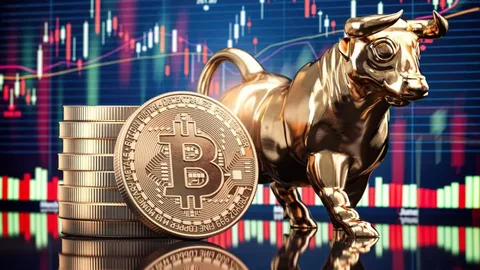 Bull Case for Bitcoin in $1 Trillion Market Wreckage Bull Case for Bitcoin in $1 Trillion Market Wreckage